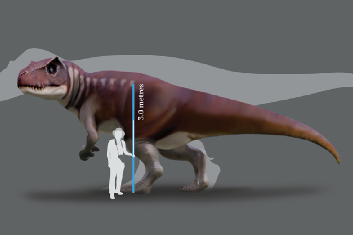 A reconstruction of a Jurassic dinosaur track-maker from southern Queensland in front of a silhouette of the largest known T. rex.