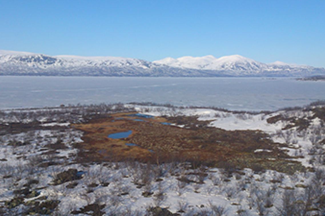 Frozen Lake Torneträsk, located next to the study site