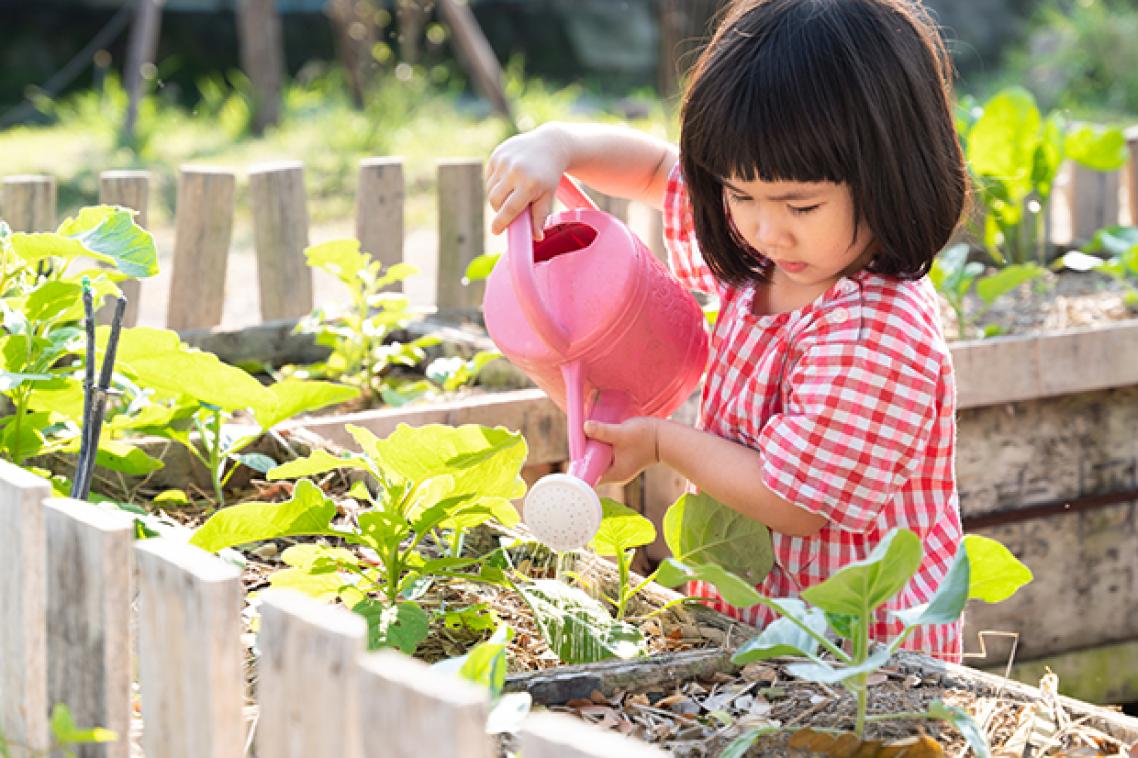 A young girl watering plants