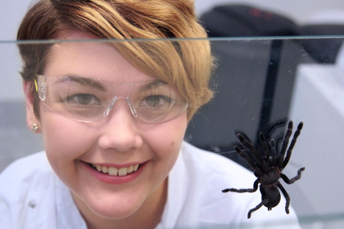 Samantha Nixon with Selenocosmia crassipes, Australia’s largest tarantula