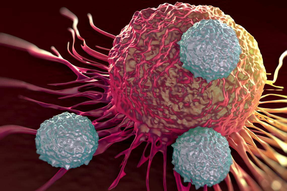 T-cells attacking a tumor cell.