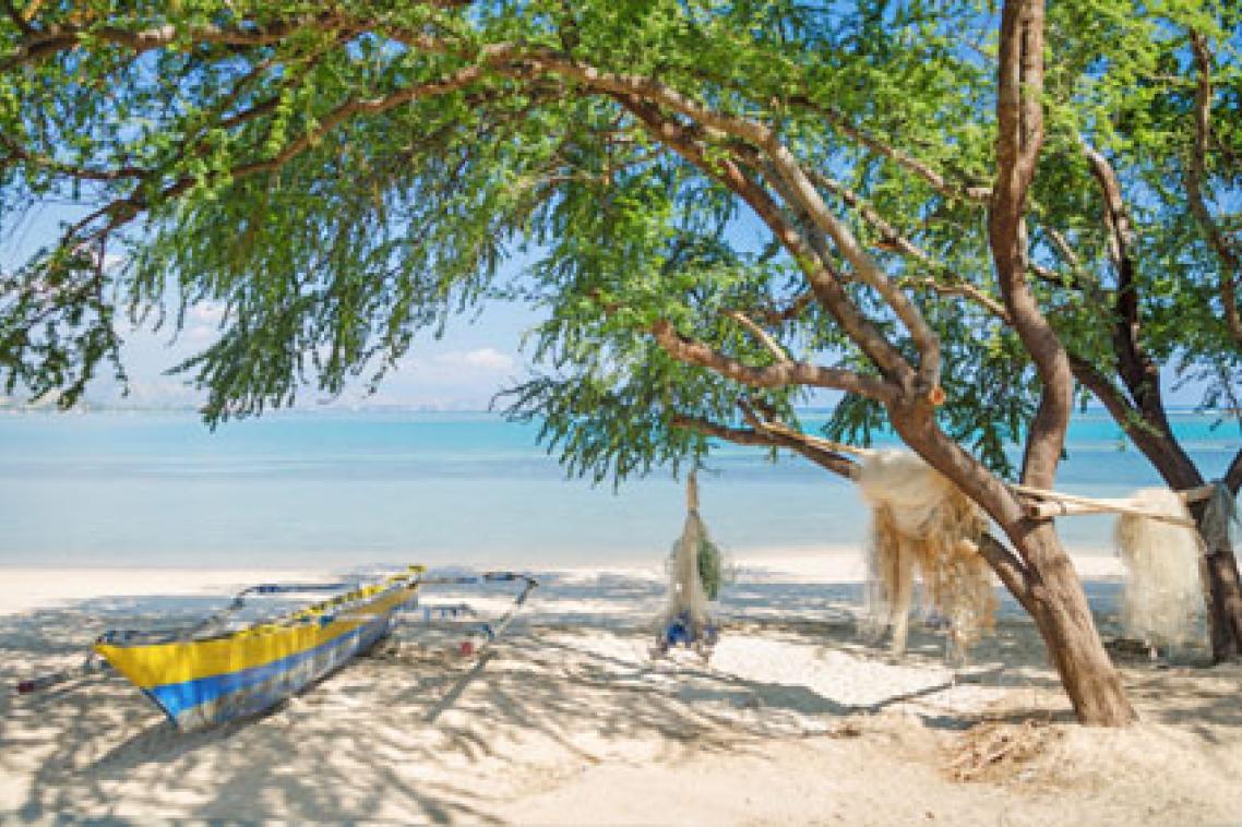 Timor-Leste is one of the countries that will feel the worst impacts from climate change.
