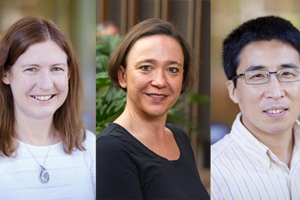L to R - Professor Debra Bernhardt, Professor Sara Dolnicar and Professor Lianzhou Wang