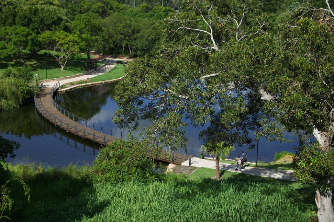 The lakes at UQ's St Lucia campus