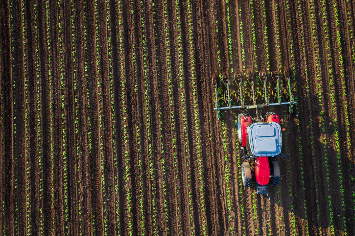 One research project aims to develop crop yield prediction systems using satellite data and biophysical crop modelling. iStockphoto