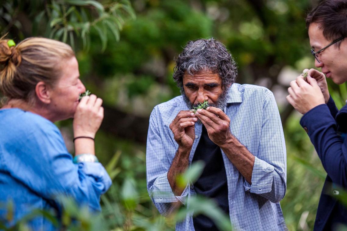 Alex Bond of the Aboriginal Environments Research Centre teaches students about native plants on the UQ campus