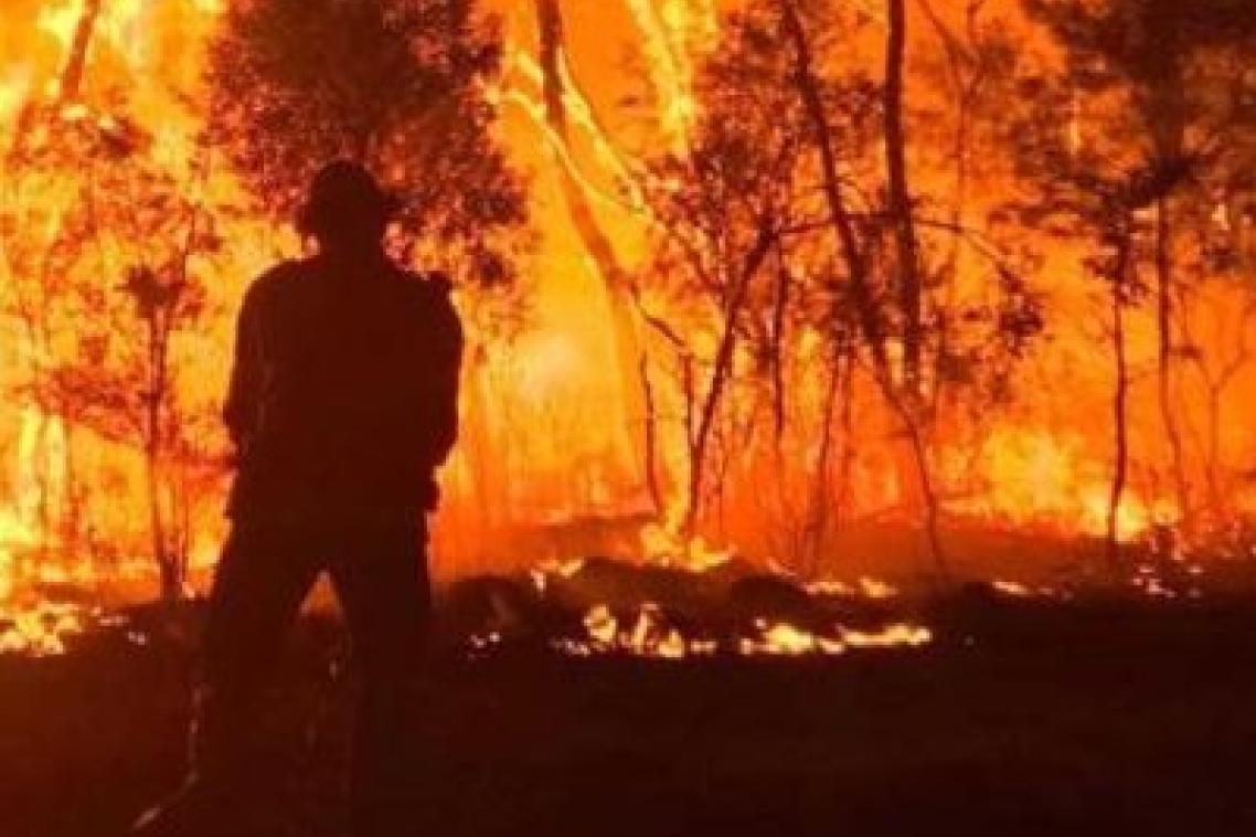 Bushfire