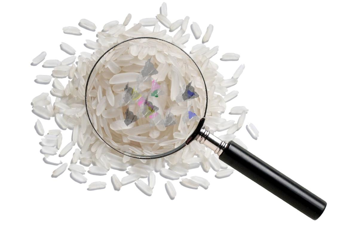Microplastic