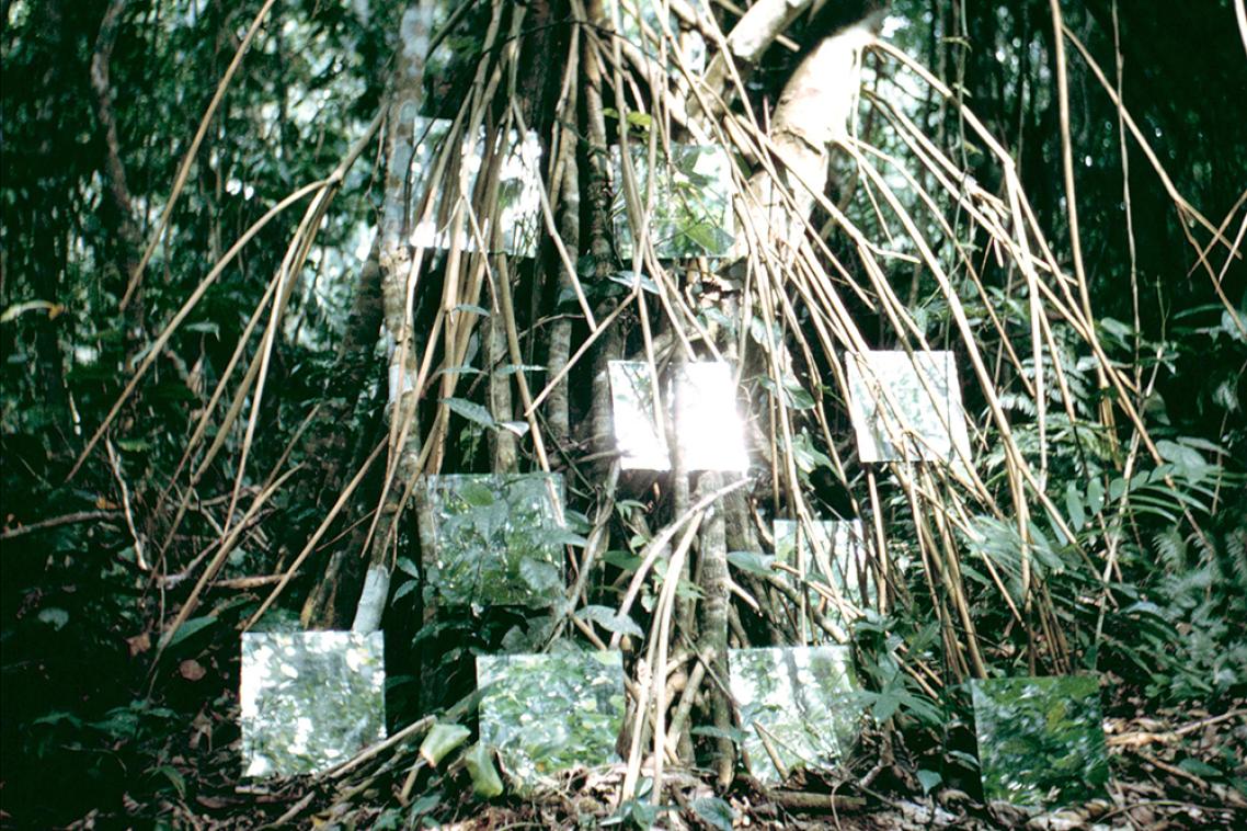 Robert Smithson Yucatan mirror displacements (1–9) 1969 (detail)