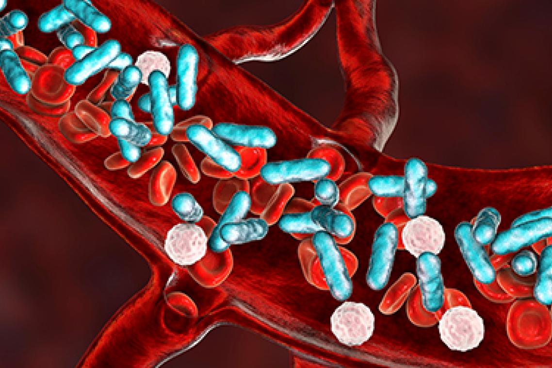 Visual representation of sepsis with blue, pink and red items in blood vessels