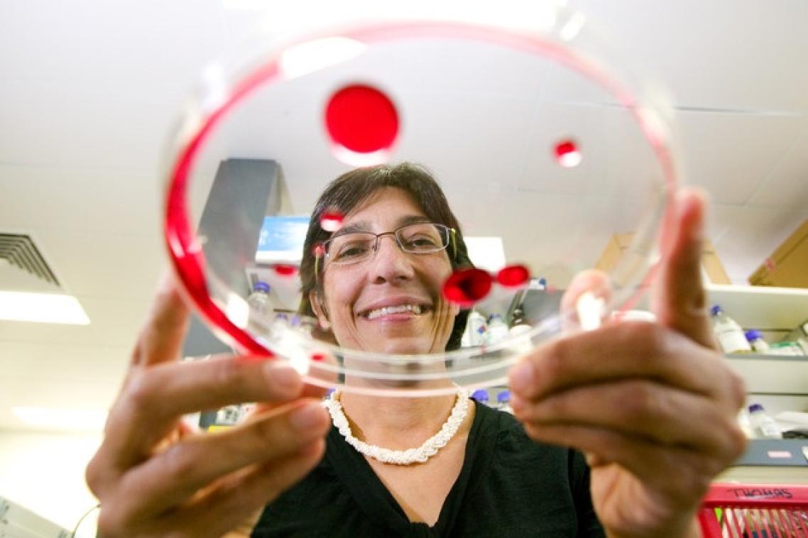 Professor Ranjeny Thomas