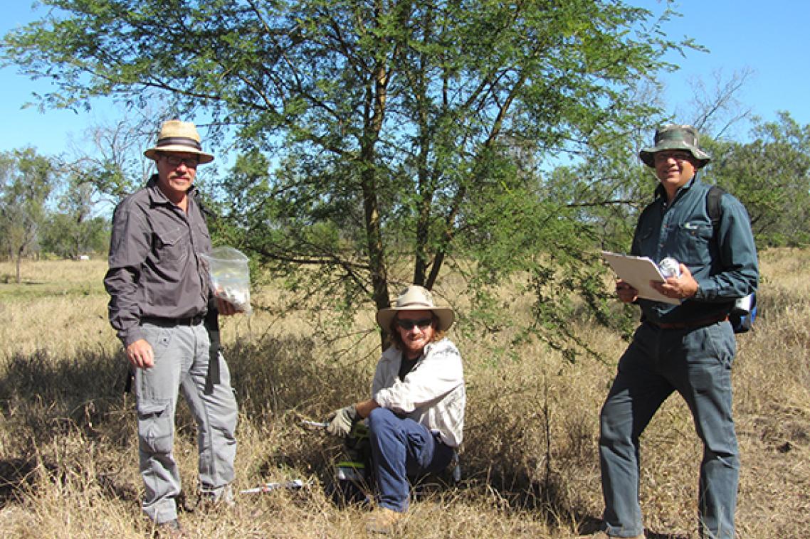 Professor Vic Galea, Paul Humphreys (Ecosure) and Peter Riikonen attending a trial site in Rockhampton.