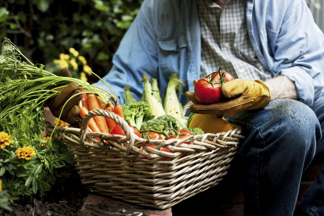 Silver nanoparticles could impact food grown in contaminated soil.