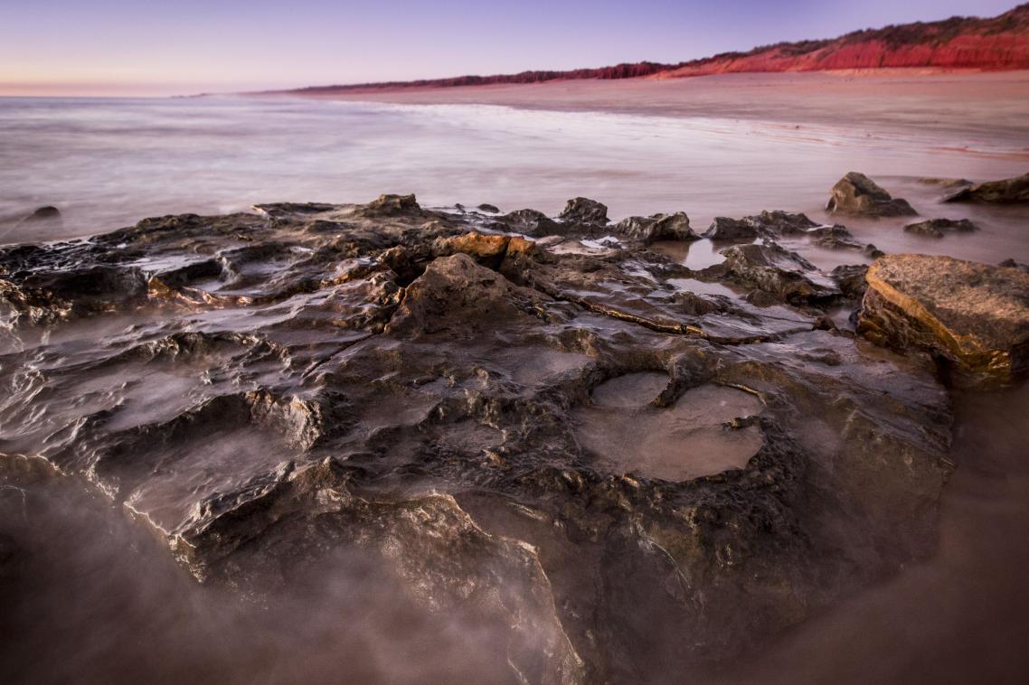 Dinosaur tracks in the Walmadany area. Credit: Damian Kelly