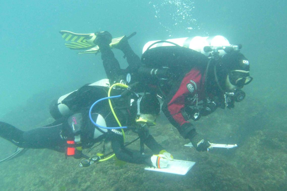 Uni Dive members will assess the reef until late October. 