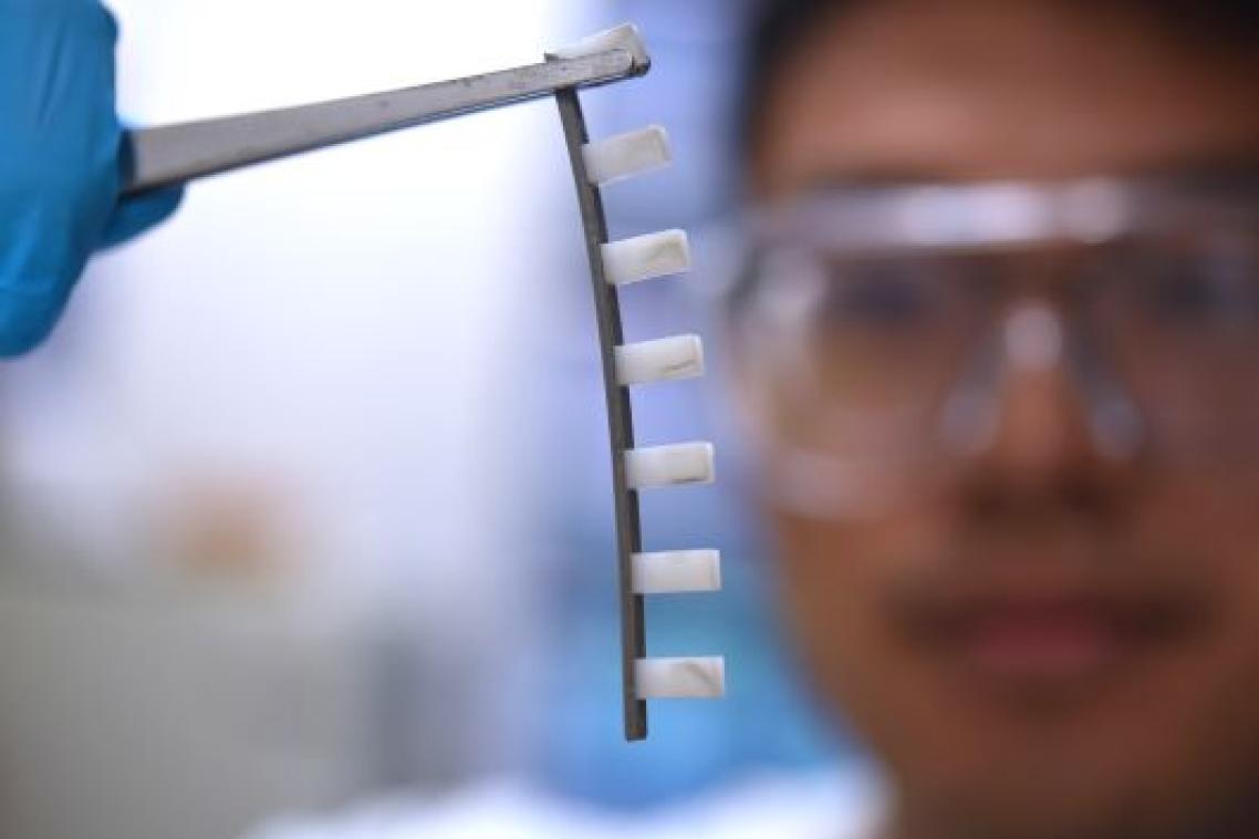 Animal-inspired liquid metal 'spines' in focus being held with tweezers with a researcher wear safety goggles in the background.
