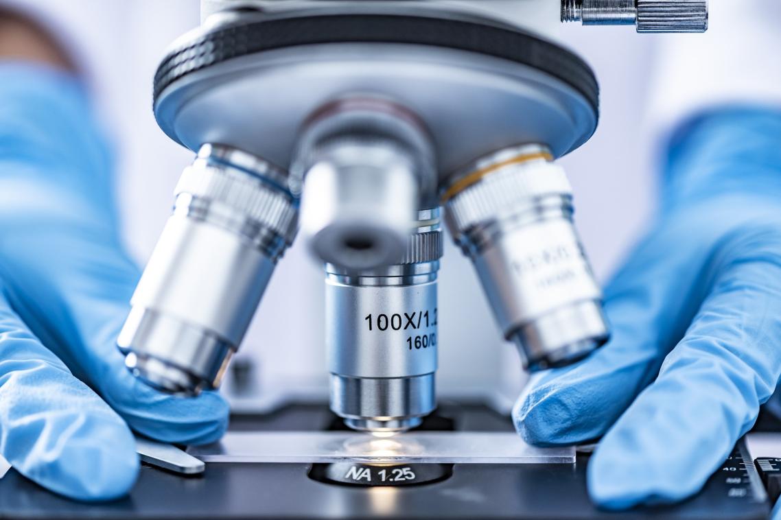Gloved hands hold a slide under a microscope