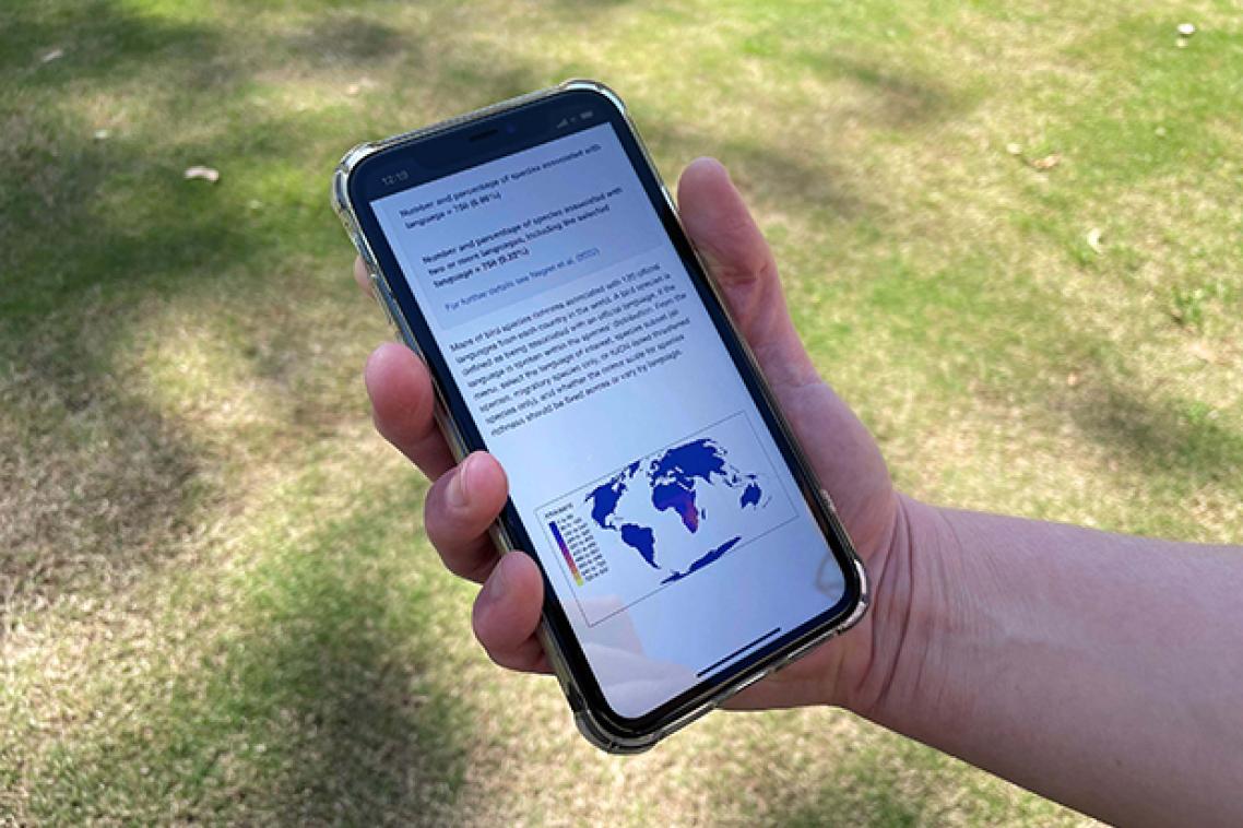 The Bird Language Diversity web app open on a mobile phone.