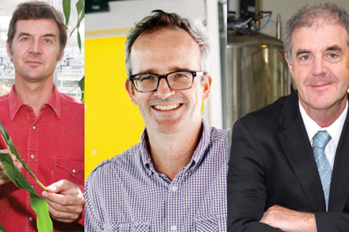 UQ’s latest ARC Laureate Fellows TC Beirne School of Law’s Professor Brad Sherman, the School of Chemistry and Molecular Biosciences’s Professor Philip Hugenholtz and Institute for Molecular Bioscience’s Professor David Craik.