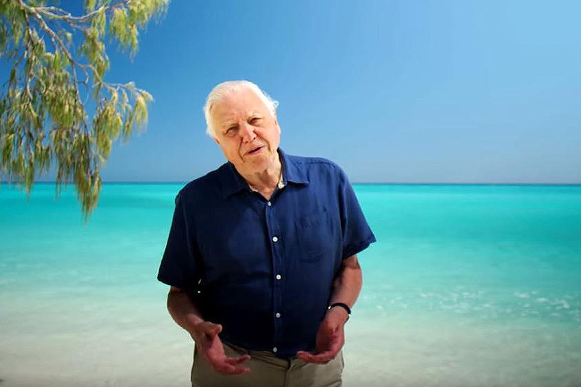 Sir David Attenborough, as he appears while introducing the interactive website