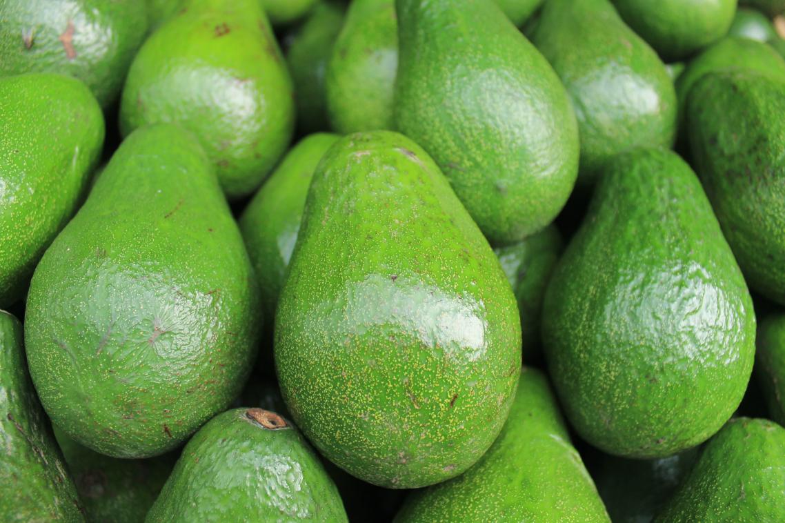 Queensland is responsible for 50 per cent of Australia’s high-value avocado crop