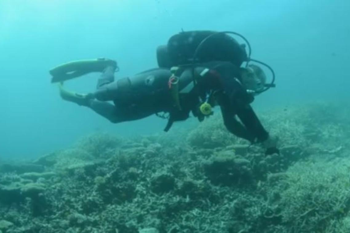 Volunteer scientists survey the Great Barrier Reef.