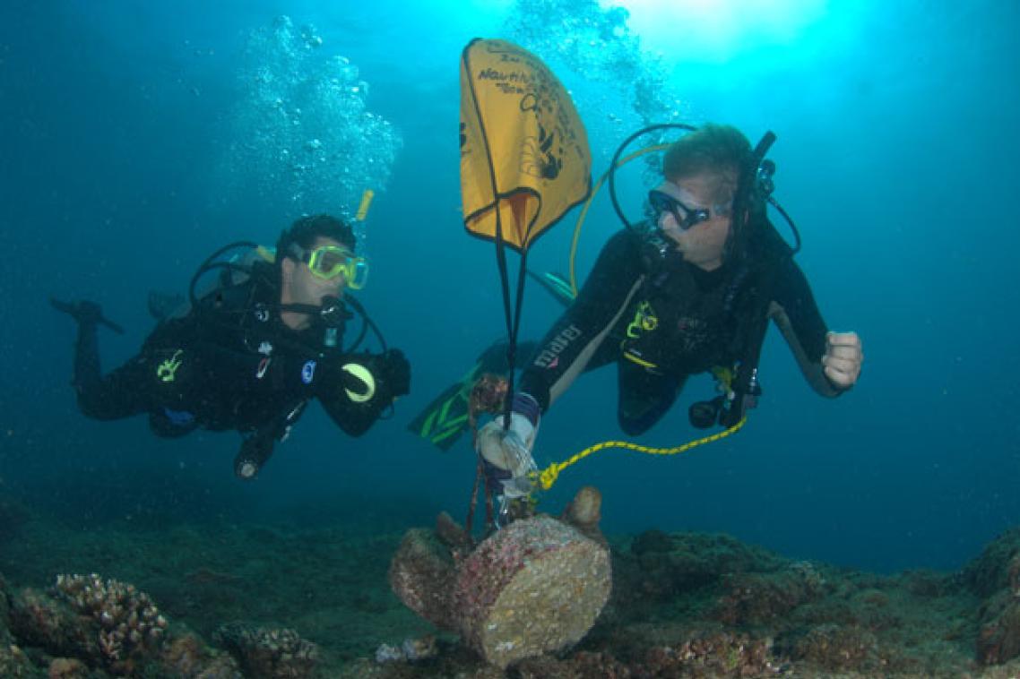 UniDive volunteers conduct marine surveys.