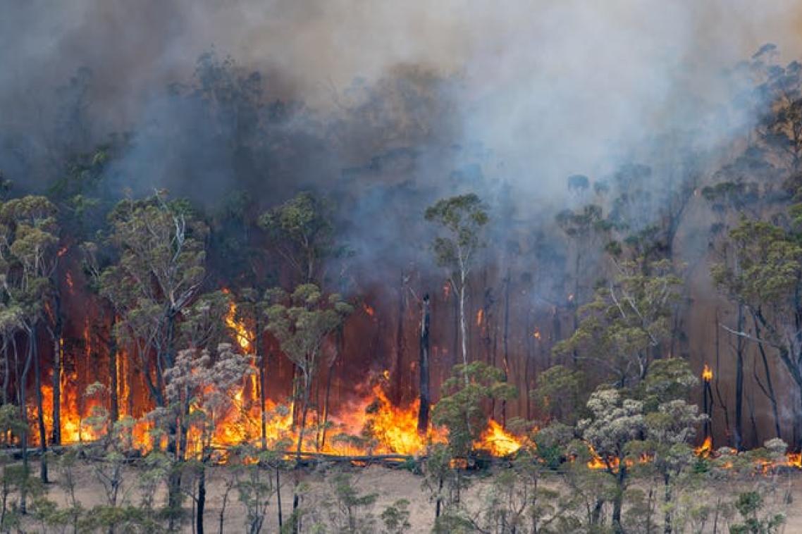 Fire burns through a stretch of Australian bush.