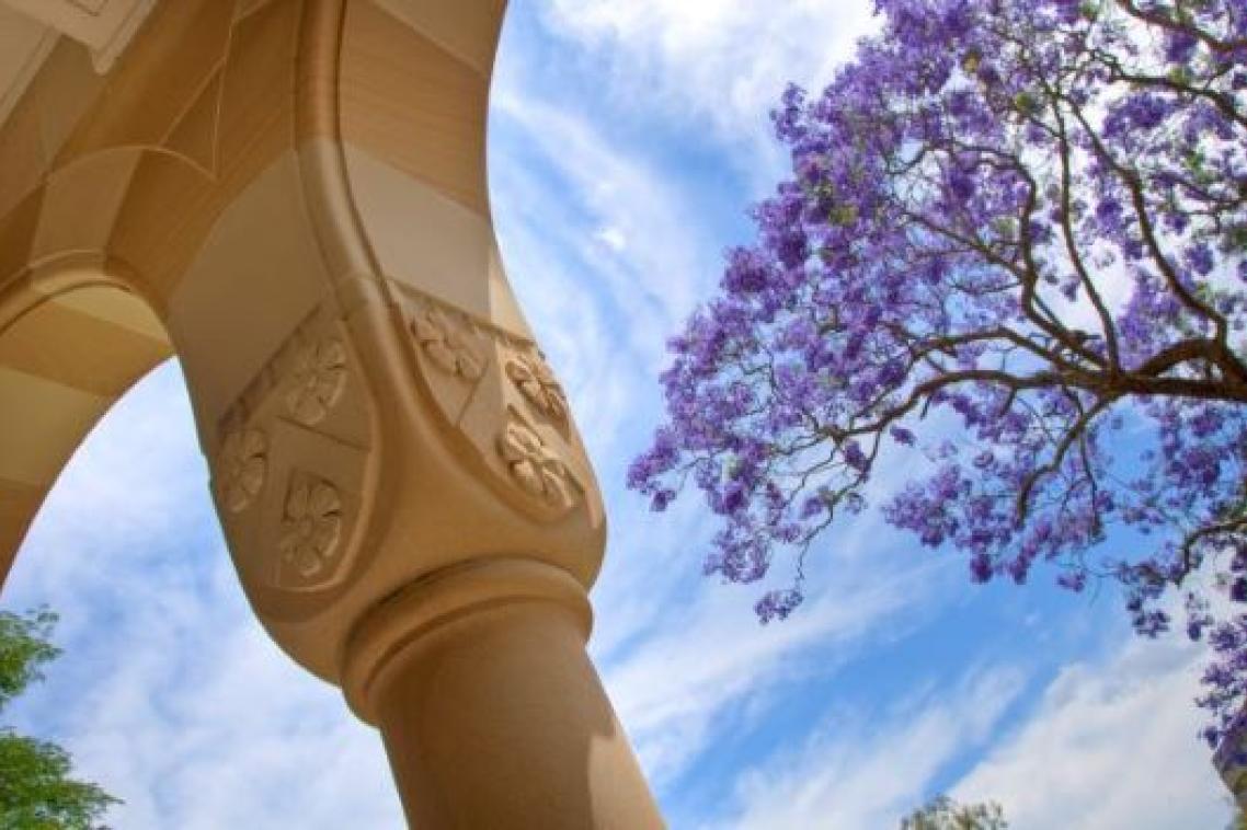 Sandstone pillar with Jacaranda tree in full bloom in the distance.