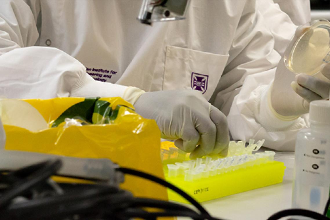a close up shows a researcher working at a lab bench