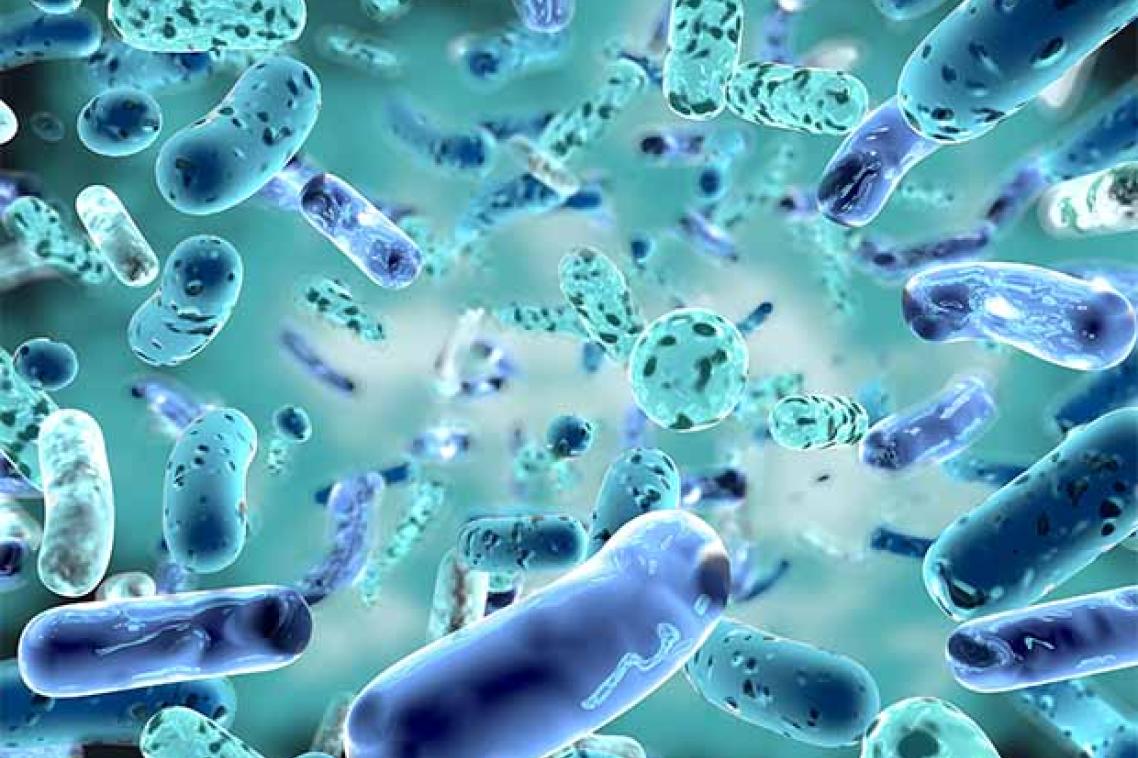 Close-up graphic of gut bacteria