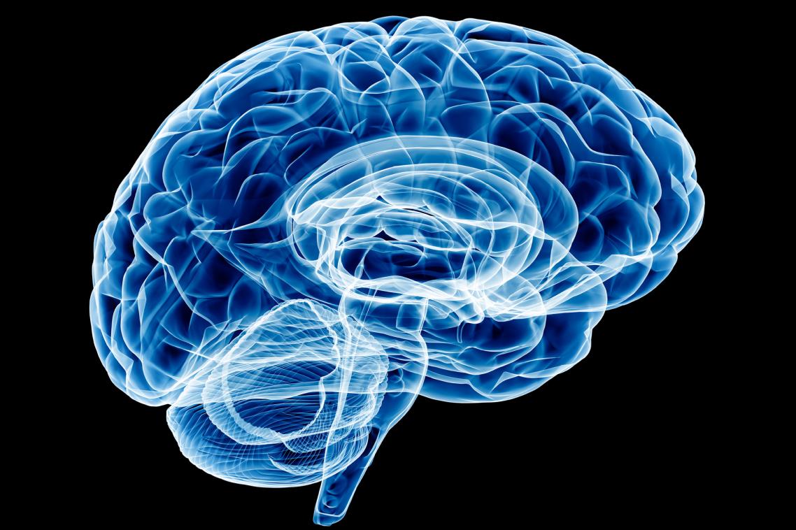 Agenesis of the corpus callosum is a partial or complete absence of nerve fibres connecting the sides of the brain.