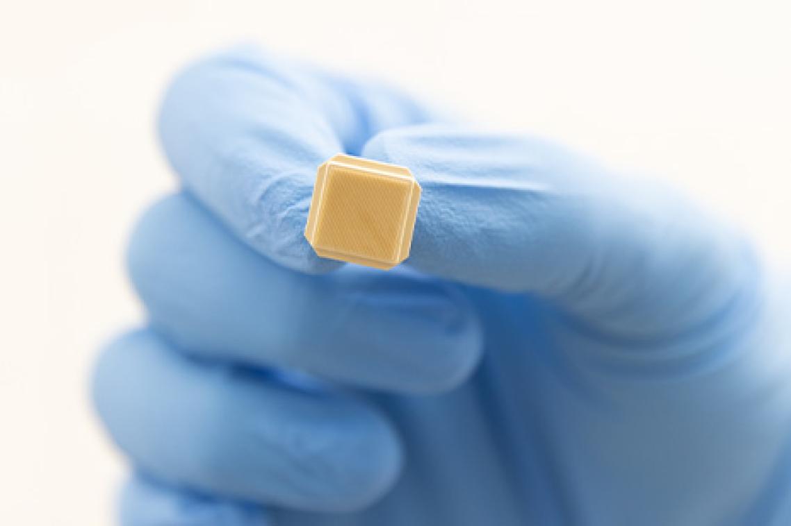 An image of the Vaxxas high-density microarray patch (HD-MAP) technology, showing a small patch containing thousands of microprojections.