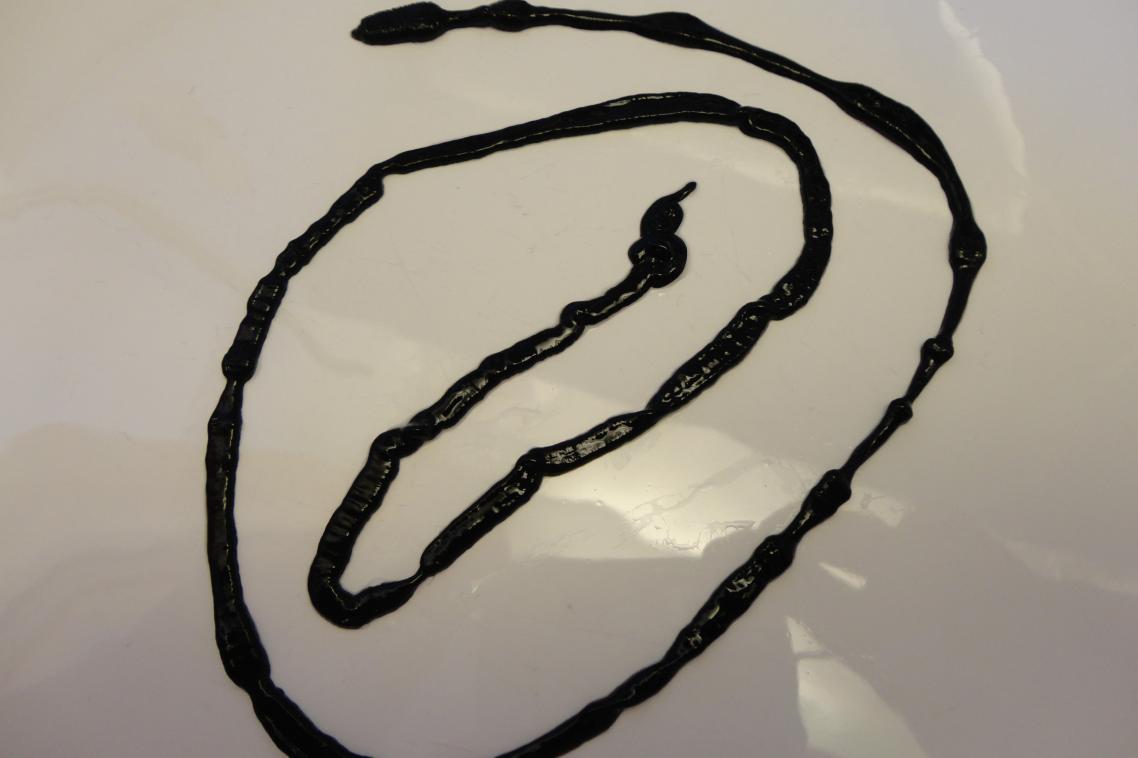 Bootlace worm