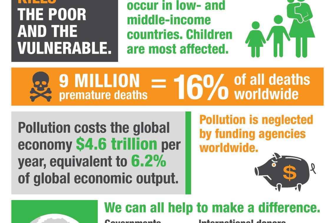Global alliance on health and pollution 