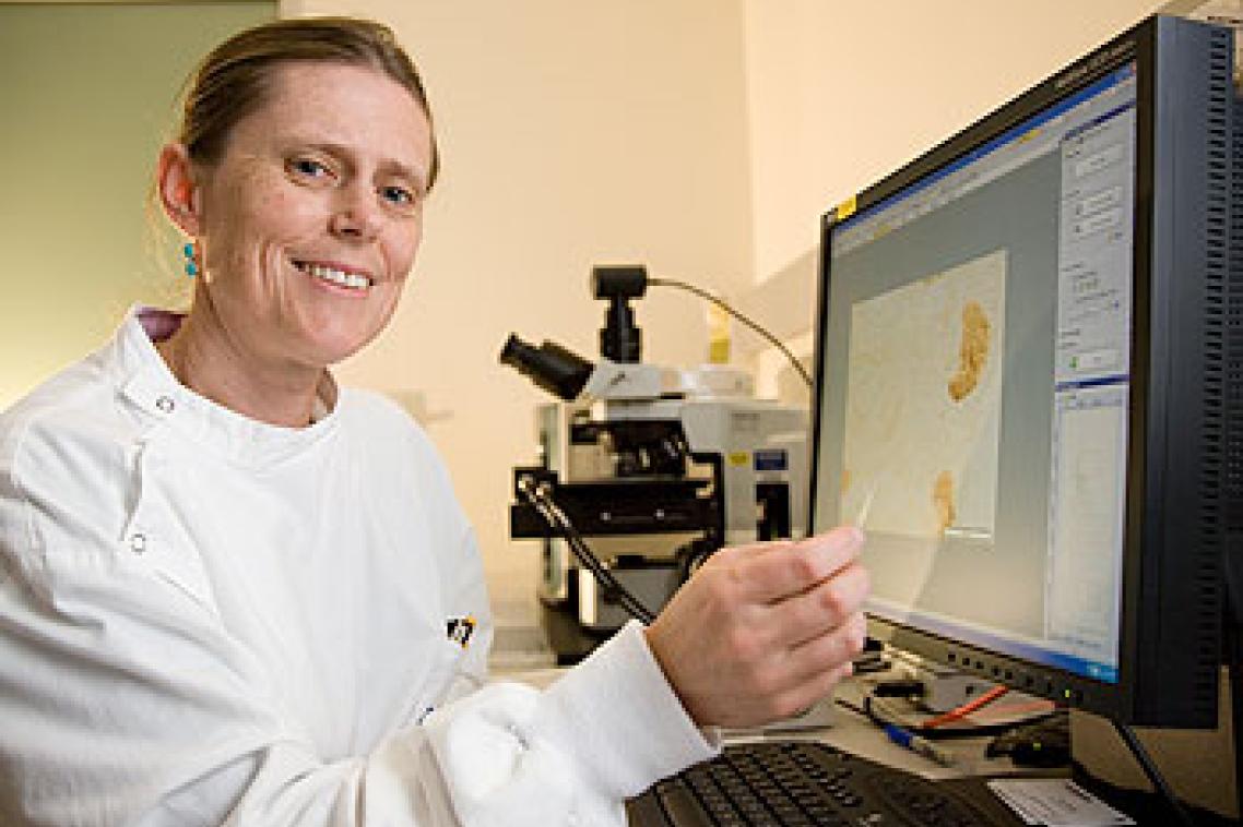 Professor Melissa Little