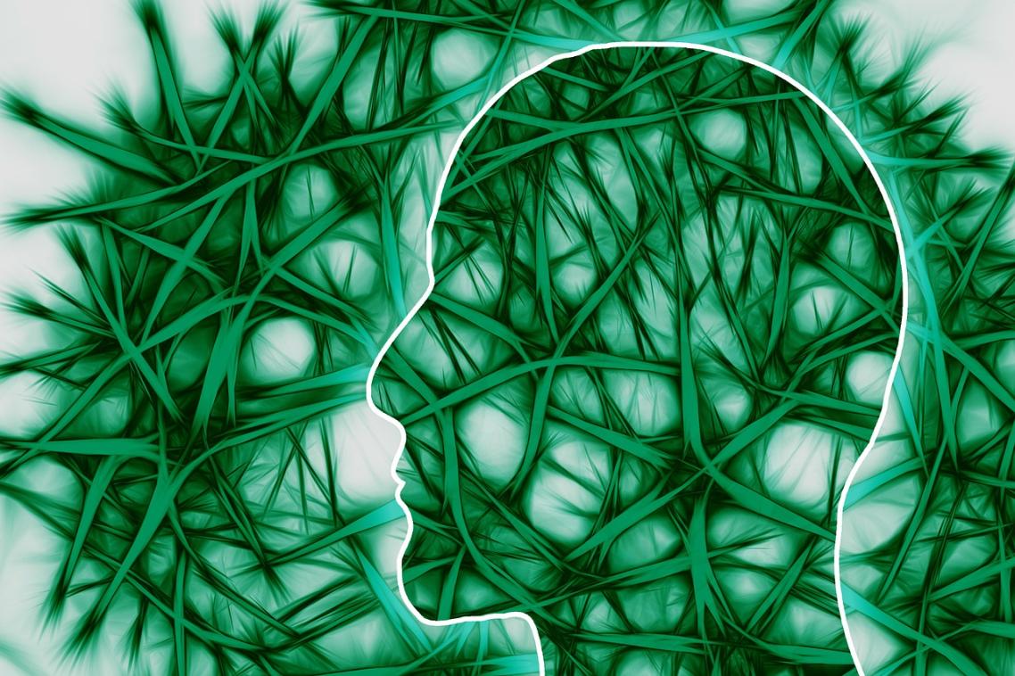 UQ researchers have have worked with rare metastatic brain tumour samples to discover genetic information that could lead to new cancer treatments.