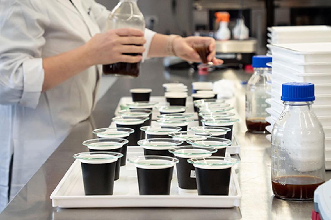 Small coffee cups on a bench in a lab. A person wearing a lab coat is holding a bottle of coffee.