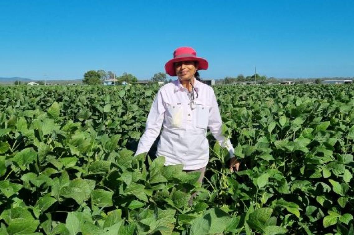 A woman wearing a wide brimmed hat and long sleeved shirt standing in soybean crop about 1 metre high