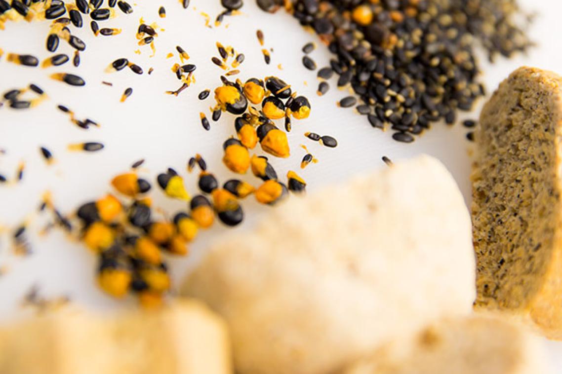 Grains and bread