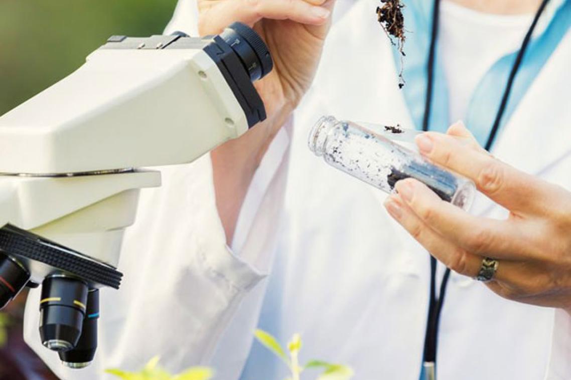 Scientist testing soil