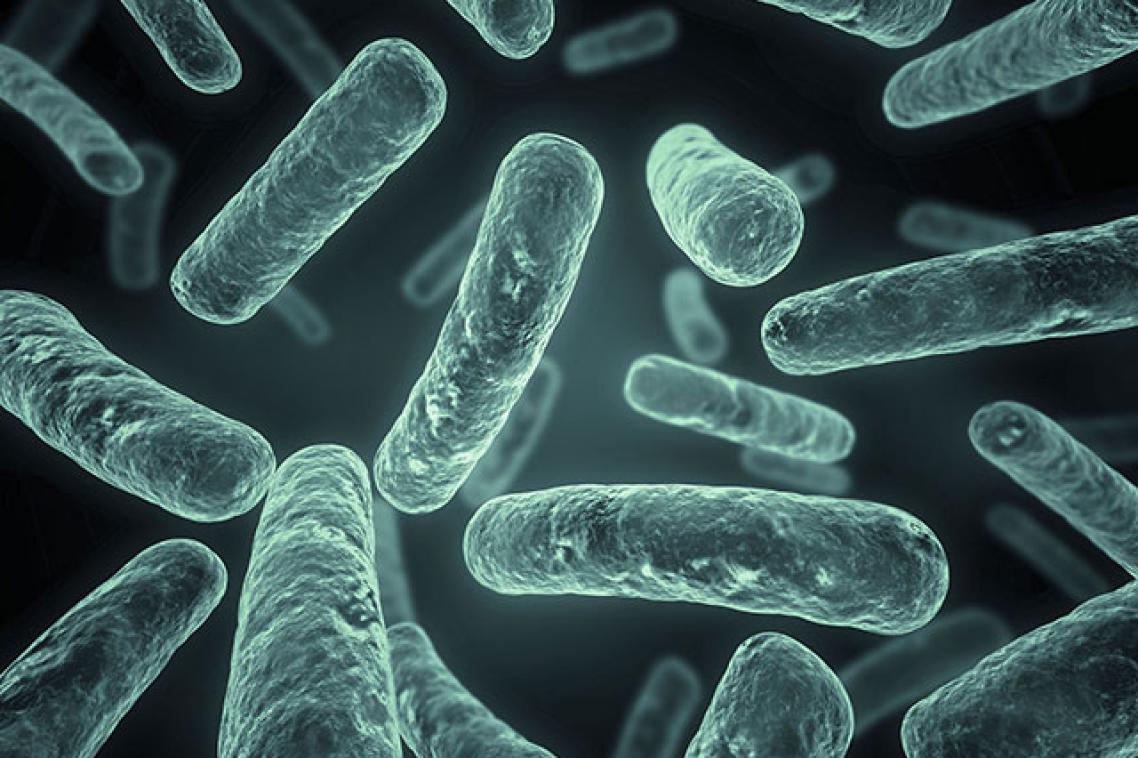 superbugs