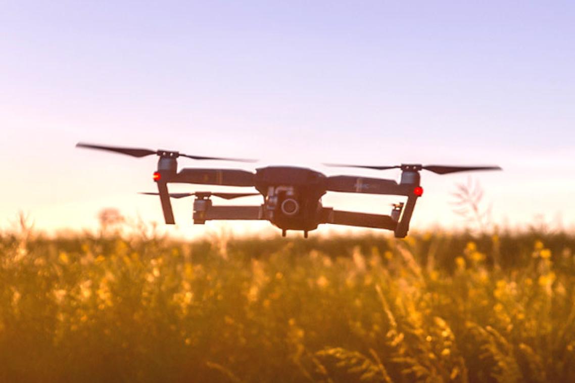 A drone hovering over a field of crops