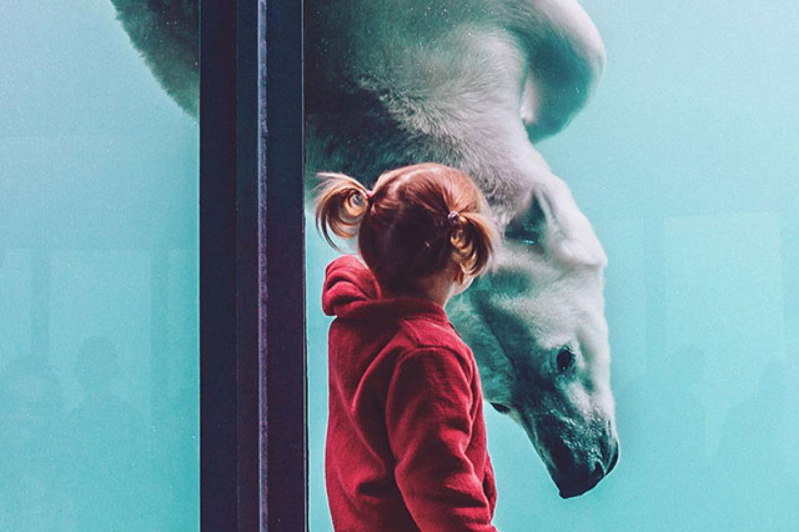 Young girl looking at a polar bear in zoo