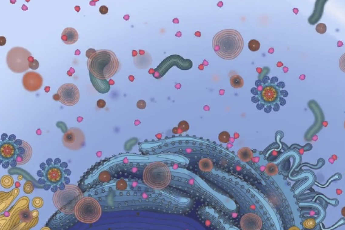 Inflammasome animation.