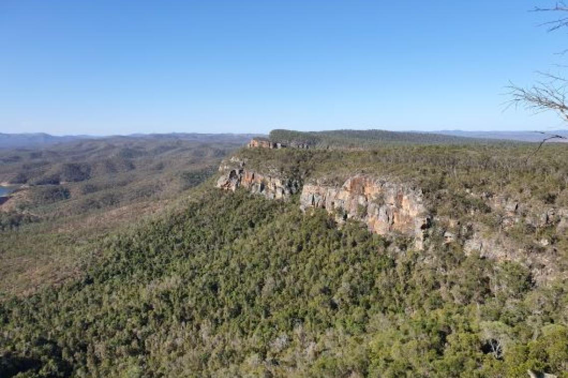 Rainforest at Cania Gorge in Queensland's North Burnett region.