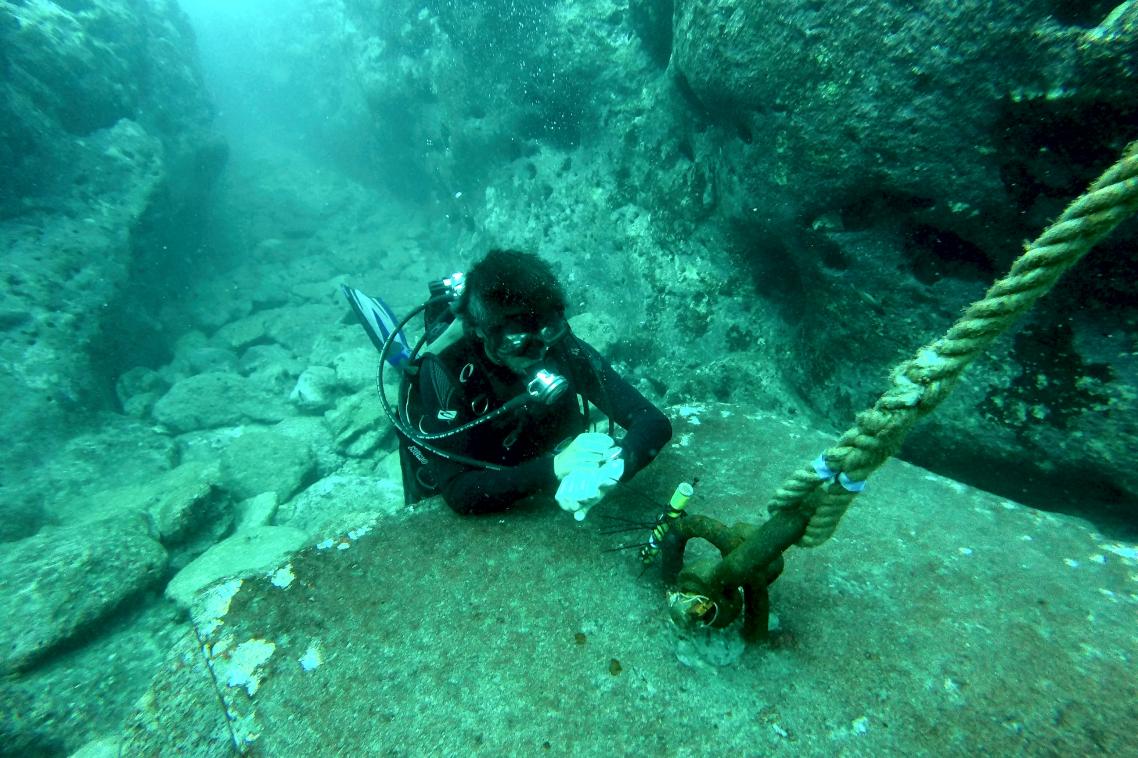 Placing pressure transducers in the inner lagoon of Temae, Moorea. Photo by V. Parravicini