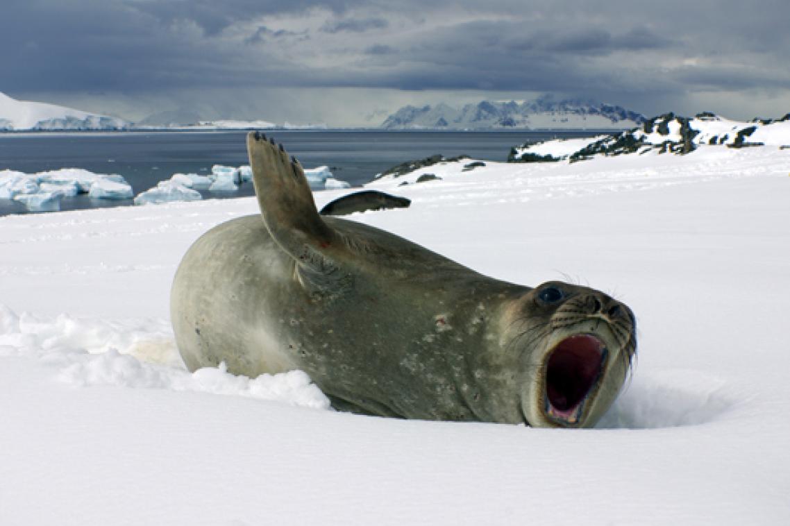 Dr Paul Dennis travelled to Antarctica for his research. Photo: Paul Dennis.