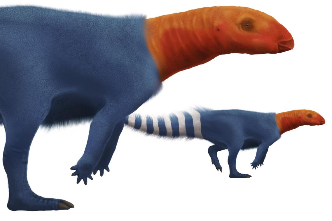 A dinosaur illustration from the board game. By Dr Anthony Romilio.