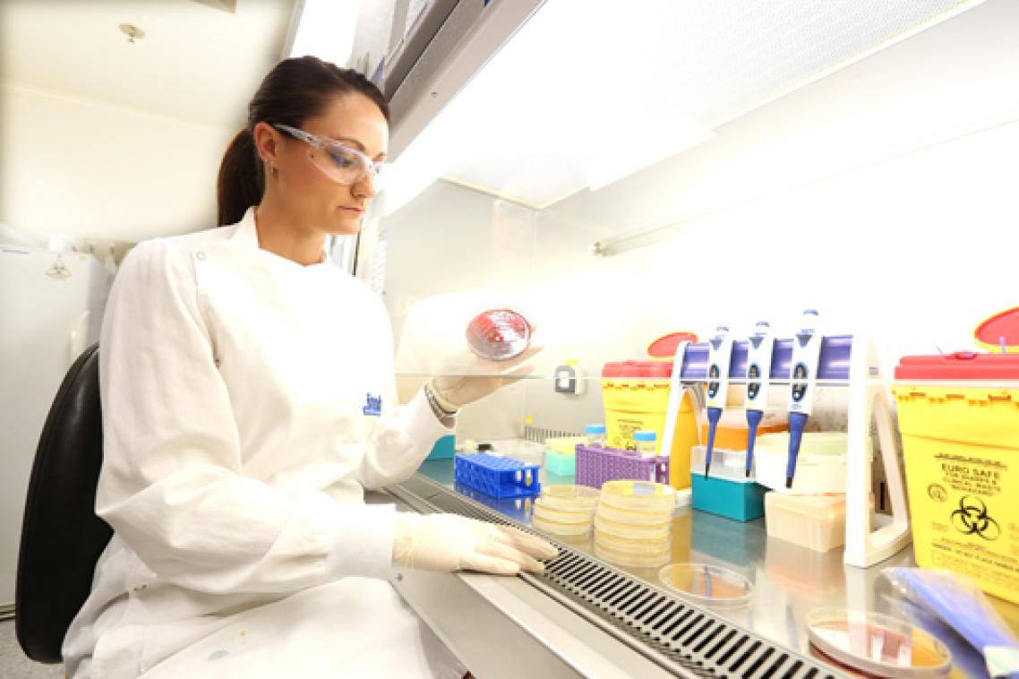 Researchers from IMB Centre for Superbug Solutions are aiming to stop antibiotic-resistant bacteria in their tracks.